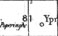 81, Poperinghe - Ypres