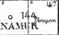 144, Namur - Champion